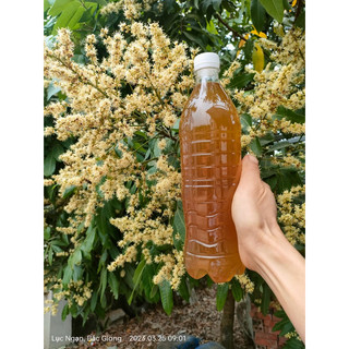 1 Lít Mật Ong Hoa Nhãn Hưng Yên 100% Nguyên Chất