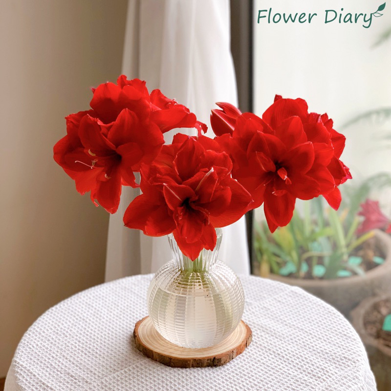 Bình cắm hoa thuỷ tinh M:7cm H:17cm | M:9.5cm H:20cm | M:12cm H:25cm