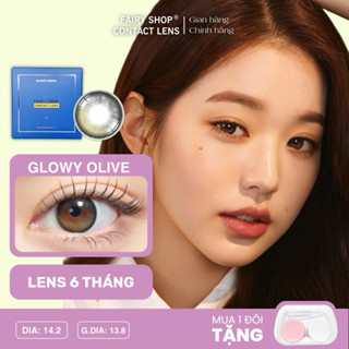  Kính Áp Tròng 6 tháng Filter Phủ Bóng Glowy Olive 14.2 & 14.5  FAIRY SHOP CONTACT LENS Độ 0 -8 cao cấp silicone hydrogel 