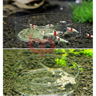CHÉN THUỶ TINH - ĐỰNG THỨC ĂN CÁ TÉP THỦY SINH