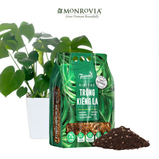 Đất trồng cây, giá thể trồng các cây kiểng lá, cây trong nhà, ngoài trời, Monstera, Anthurium, Bàng Singapore, túi 7 lít
