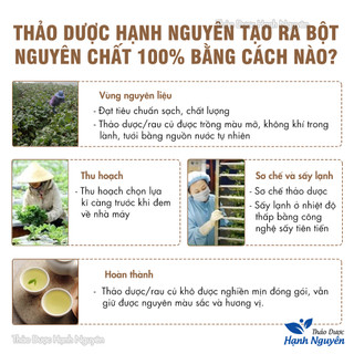 Bột bạch truật 100g, nguyên chất, thơm mịn, đắp mặt, pha uống, tốt cho tiêu hóa - Thảo Dược Hạnh Nguyên