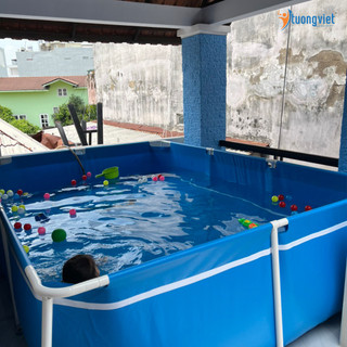 Bể Bơi Di Động 3.1mx2.2mx0.8m