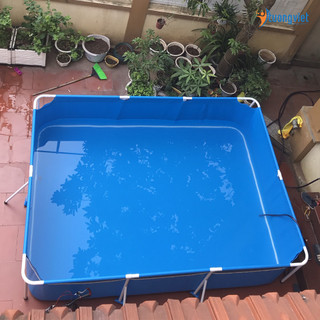 Bể Bơi Di Động 3.1mx2.2mx0.8m