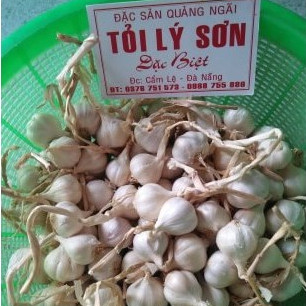 TỎI LÝ SƠN 1KG