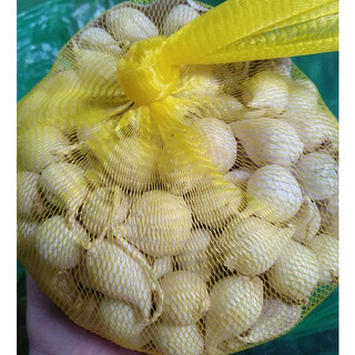 TÚI 500gr TỎI CÔ ĐƠN LÝ SƠN ( TỎI MỒ CÔI, TỎI 1 TÉP )