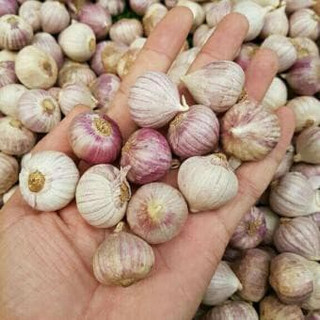 1KG TỎI CÔ ĐƠN TÍM