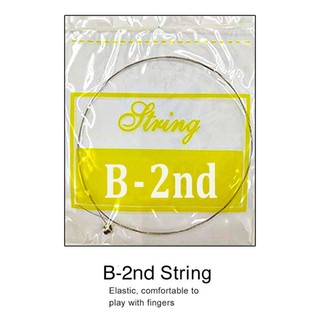 Dây Lẻ Số 1 Và 2 Đàn Guitar Acoustic