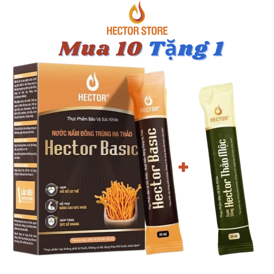 Hector Basic Đông Trùng Hạ Thảo