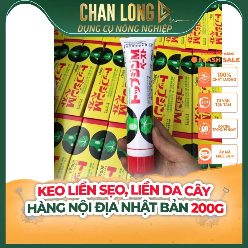 Keo Liền Sẹo, Liền Da Cây Hàng Nội Địa Nhật Bản  200g | CHANLONG