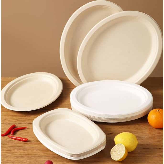 Set 50 Đĩa Bã Mía Oval Màu Nâu