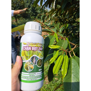 CHẶN ĐỌT SẦU RIÊNG 24H HLC CAN 5 lít chuyên dùng cho sầu riêng - Hàng chính hãng