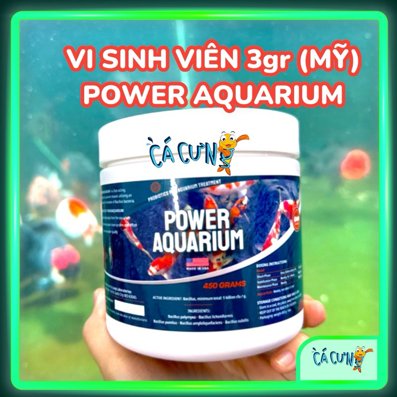 Viên vi sinh Power Aquarium Mỹ - Viên to 3g | Làm trong nước, khử mùi tanh cho bể cá Koi (HÀNG CTY)