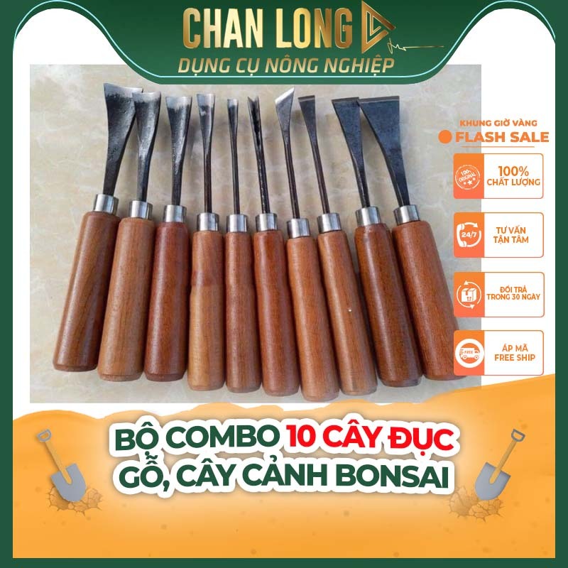 Bộ Combo 10 Cây Đục Gỗ, Cây Cảnh Bonsai | CHANLONG