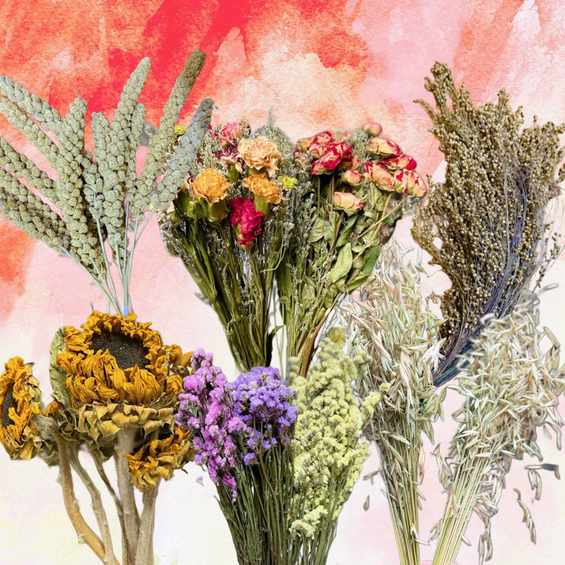 Cành cắm chuồng lồng cho Hamster, hoa cắm chuồng lồng trang trí cho hamster