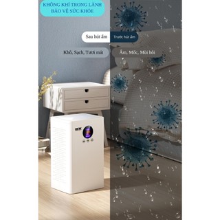 Máy hút ẩm gia đình, Máy hút ẩm mini