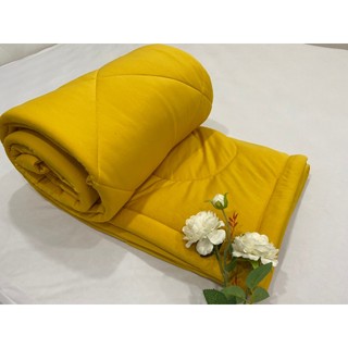 CHĂN - MỀN CHẦN BÔNG VẢI THUN MÀU TRƠN 1M8X2M