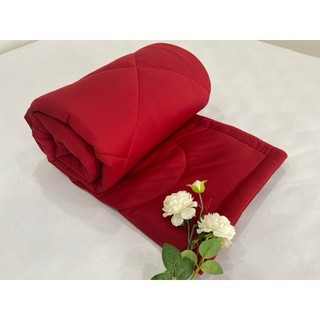 CHĂN - MỀN CHẦN BÔNG VẢI THUN MÀU TRƠN 1M8X2M
