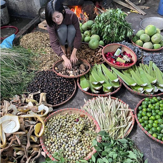 Dầu Gội Bưởi Non Thảo Mộc Quê [ MẪU MỚI MƯỢT TÓC HƠN] Ngăn Gãy Rụng Dưỡng Tóc Suôn Dài Óng Mượt - Phục Hồi Hư Tổn 500ml
