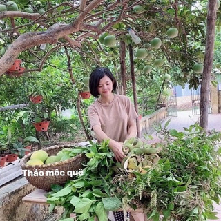Dầu Gội Bưởi Non Thảo Mộc Quê [ MẪU MỚI MƯỢT TÓC HƠN] Ngăn Gãy Rụng Dưỡng Tóc Suôn Dài Óng Mượt - Phục Hồi Hư Tổn 500ml