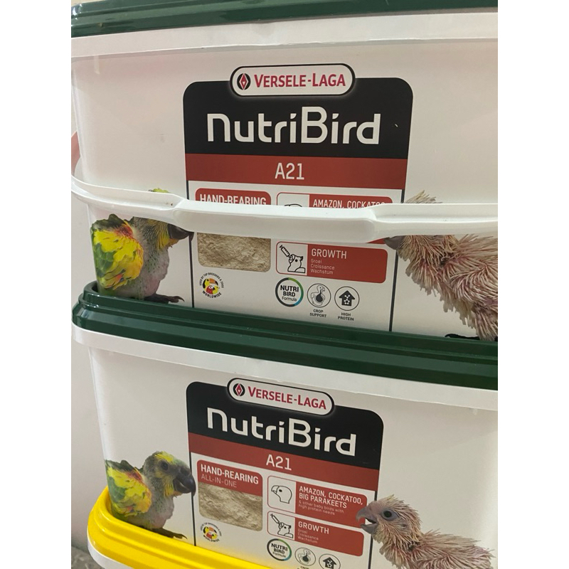 Bột đút cao cấp A21 cho chim vẹt non (100g)