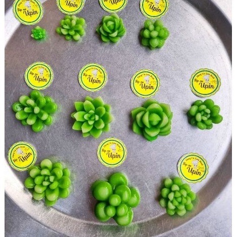 khuôn silicon xương rồng 2 đẹp/ xương rồng sen đá khuôn silicon