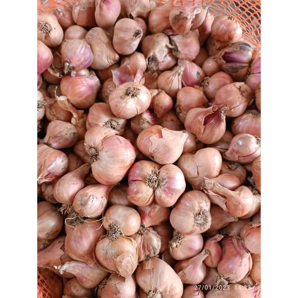 Hành ta khô Kinh Môn Hải Dương đã chọn lọc