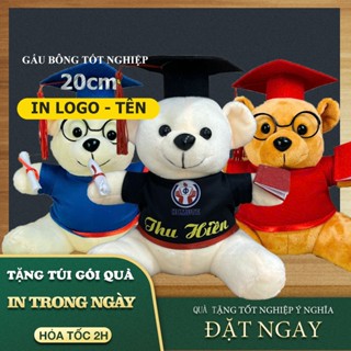 Gấu bông tốt nghiệp 20cm in tên + logo (ngồi 18cm) lông trơn giá sỉ, tặng giấy gói quà