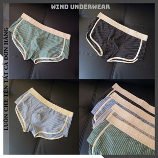 Combo quần lót nam boxer, sịp đùi nam chất cotton mềm mịn mát thấm hút tốt WIND SỌC