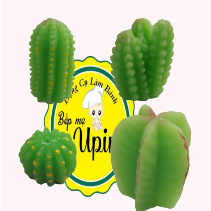 Khuôn Silicon Xương Rồng Các Loại Làm Bánh Trang Trí Bánh Thạch jelly