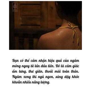 (Vietherb) Lú Bú -Lá cải ngâm mông Thải độc, tăng tuần hoàn máu, giảm v iêm nhiễm Tăng tính nữ Gói 4 túi lọc Koshka Home