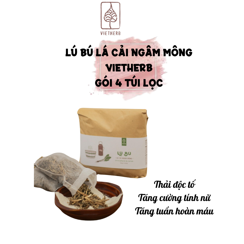 (Vietherb) Lú Bú -Lá cải ngâm mông Thải độc, tăng tuần hoàn máu, giảm v iêm nhiễm Tăng tính nữ Gói 4 túi lọc Koshka Home