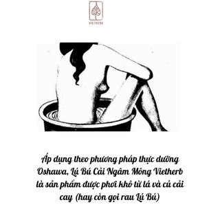 (Vietherb) Lú Bú -Lá cải ngâm mông Thải độc, tăng tuần hoàn máu, giảm v iêm nhiễm Tăng tính nữ Gói 4 túi lọc Koshka Home