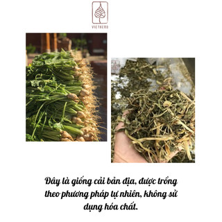 (Vietherb) Lú Bú -Lá cải ngâm mông Thải độc, tăng tuần hoàn máu, giảm v iêm nhiễm Tăng tính nữ Gói 4 túi lọc Koshka Home