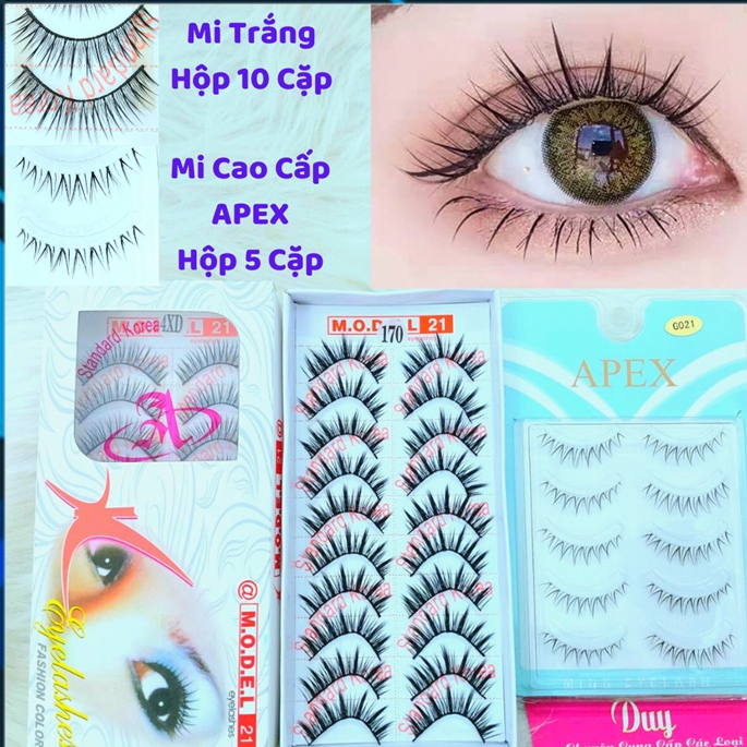 Xả Hàng - Lông Mi Giả Hộp Trắng 10 Cặp - Lông mi giả gân trong, Mi Gân Trong APEX Cao Cấp - Cho Đôi 