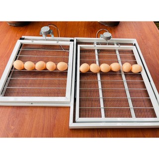 Khay đảo trứng 35, 54,108 trứng