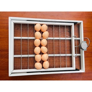 Khay đảo trứng 35, 54,108 trứng