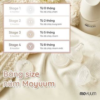 Núm ti thay thế Moyuum Hàn Quốc