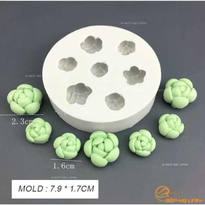 Khuôn silicon vỉ 7 xương rồng đá nhỏ