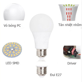 Bóng Led bulb đuôi E27 Kingled 3 chế độ màu