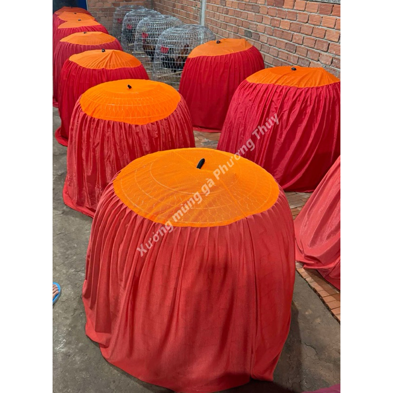 Mùng gà ngủ chống muỗi ủ ấm bội lớn 1m