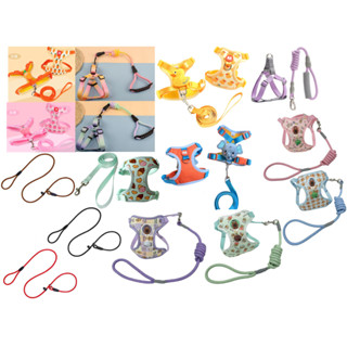 [Có capybara] Dây xích chó - đai dắt chó mèo - bộ yếm dắt thú cưng đi dạo