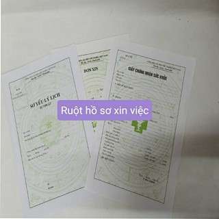 Túi hồ sơ xin việc có ruột
