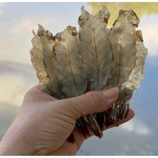 TÔM XẺ PHƠI KHÔ 500g (giao hỏa tốc)