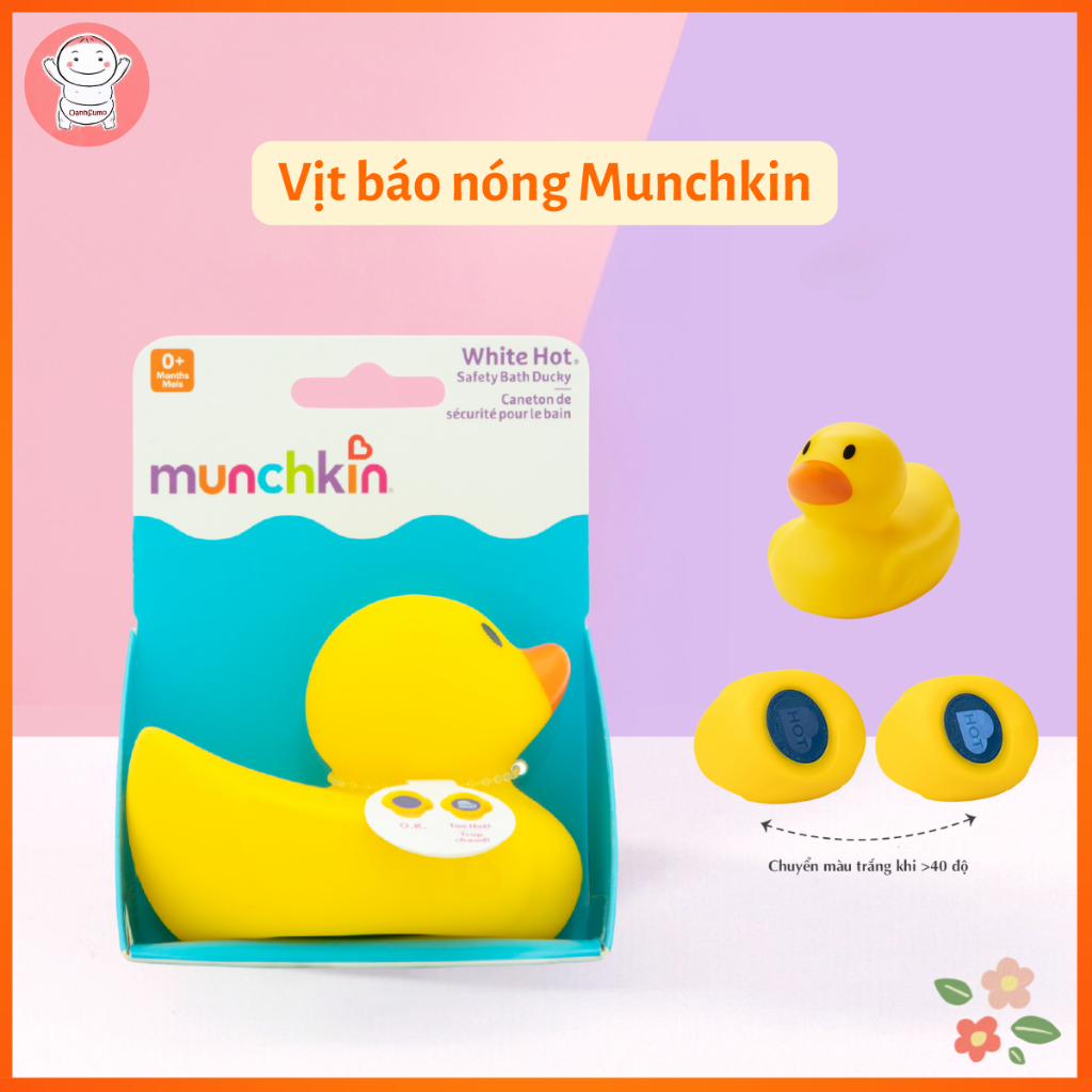 Vịt vàng báo nóng Munchkin