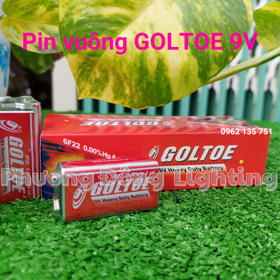 Pin 9V GOLTOE , Camelion giá sỉ GIÁ 2 VIÊN
