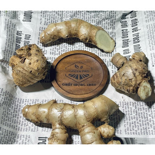 NGHỆ TRẮNG ( NGHỆ ĐỘC THÂN )