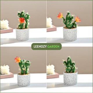 Chậu Cây Xương Rồng, Chậu Cây Giả Để Bàn, Chậu Cây Decor, Trang Trí Nhà Cửa