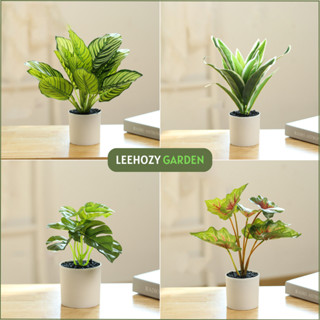 Chậu  Cây Giả Để Bàn, Cây Cảnh Decor, Cây Decor Trang Trí Nhà Cửa, Chậu Cây Giả Mini