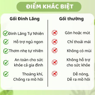 Gối đinh lăng thảo dược cho bé 3 size
